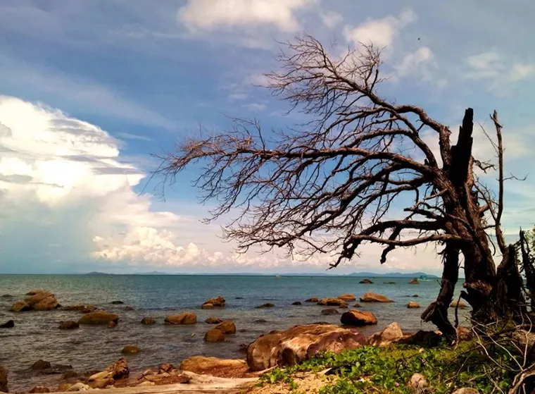 What to see in phu quoc island: Hon Mot Island
