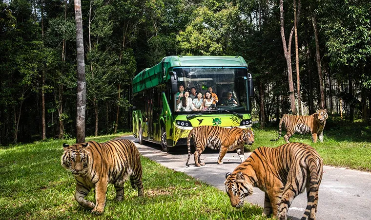 Vinpearl Safari Phu Quoc