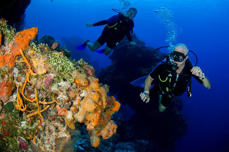 What is Phu Quoc famous for - Scuba diving to see coral