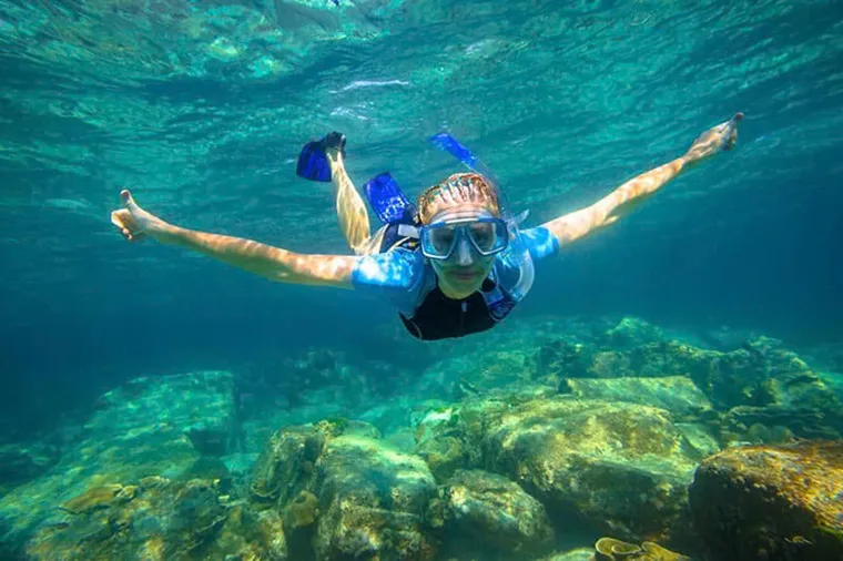 Snorkeling to See Coral Reefs and Explore the Colorful Ocean