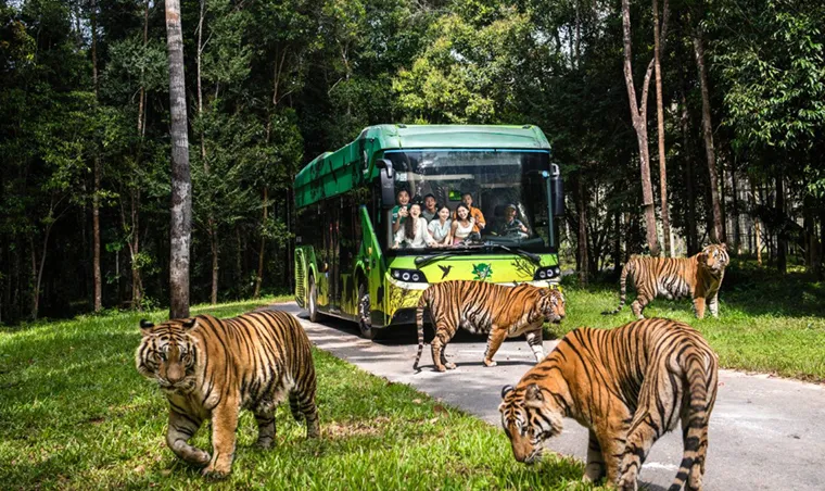 Vinpearl Safari Phu Quoc