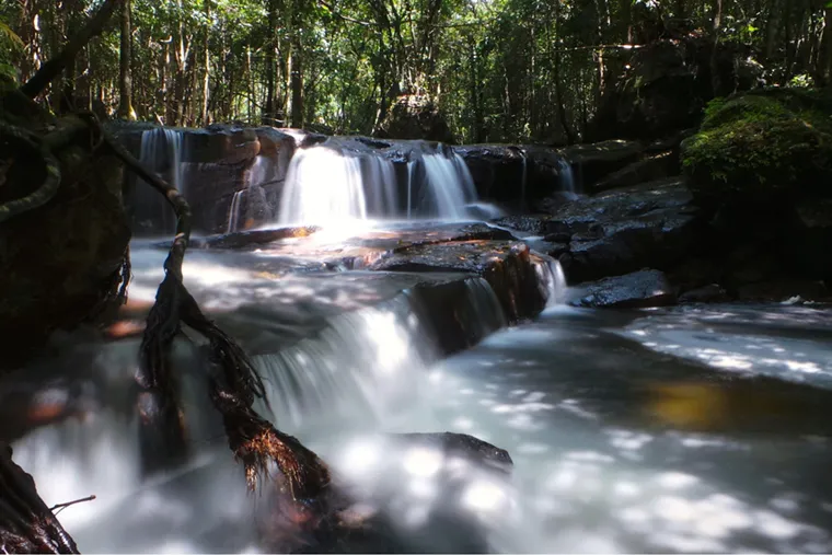 Exploring Tranh Stream