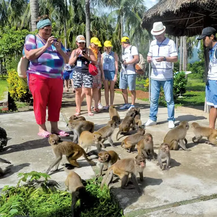 Curious monkeys await on Monkey Island 