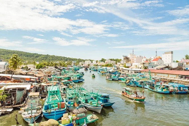 Vibrant Duong Dong Market